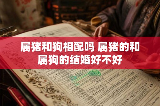 属猪和狗相配吗 属猪的和属狗的结婚好不好