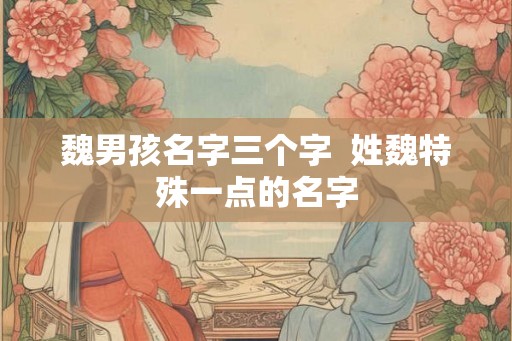 魏男孩名字三个字  姓魏特殊一点的名字