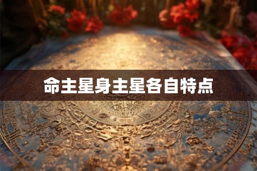 命主星身主星各自特点