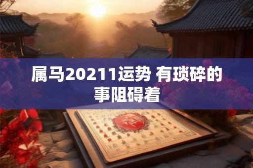 属马20211运势 有琐碎的事阻碍着