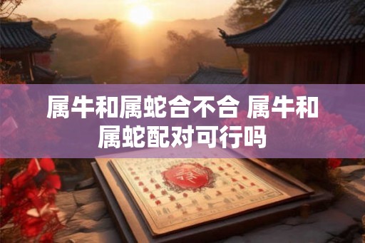 属牛和属蛇合不合 属牛和属蛇配对可行吗