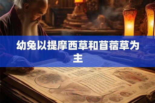 幼兔以提摩西草和苜蓿草为主