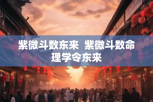 紫微斗数东来  紫微斗数命理学令东来