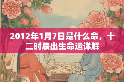 2012年1月7日是什么命，十二时辰出生命运详解