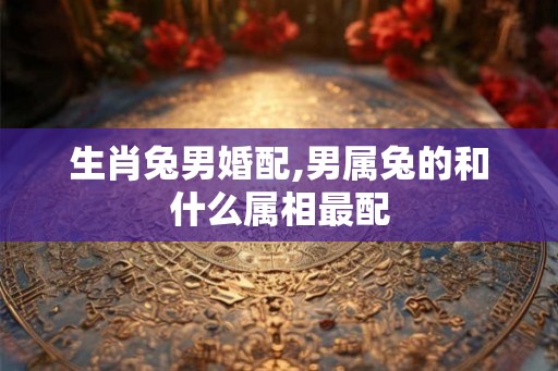 生肖兔男婚配,男属兔的和什么属相最配
