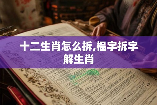 十二生肖怎么拆,榀字拆字解生肖