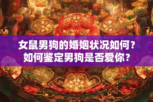 女鼠男狗的婚姻状况如何?如何鉴定男狗是否爱你? 女鼠男狗的婚姻状况如何?如何鉴定男狗是否爱你?