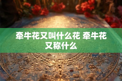 牵牛花又叫什么花 牵牛花又称什么