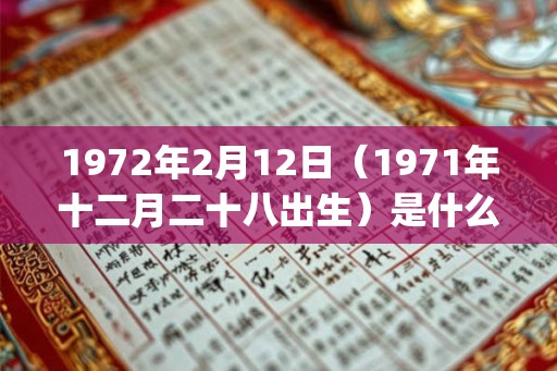 1972年2月12日（1971年十二月二十八出生）是什么命_命运如何