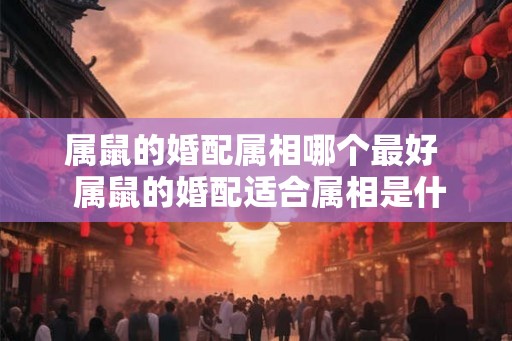 属鼠的婚配属相哪个最好  属鼠的婚配适合属相是什么