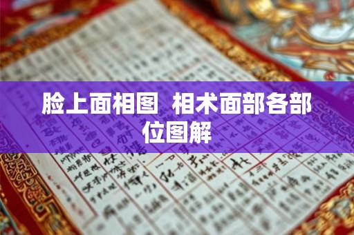 脸上面相图 相术面部各部位图解 脸上面相图 相术面部各部位图解