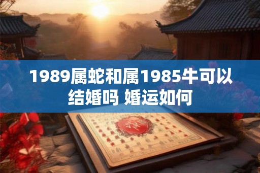 1989属蛇和属1985牛可以结婚吗 婚运如何