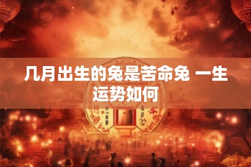 几月出生的兔是苦命兔 一生运势如何 几月出生的兔是苦命兔 一生运势如何