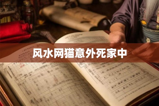 风水网猫意外死家中