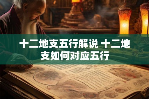 十二地支五行解说 十二地支如何对应五行