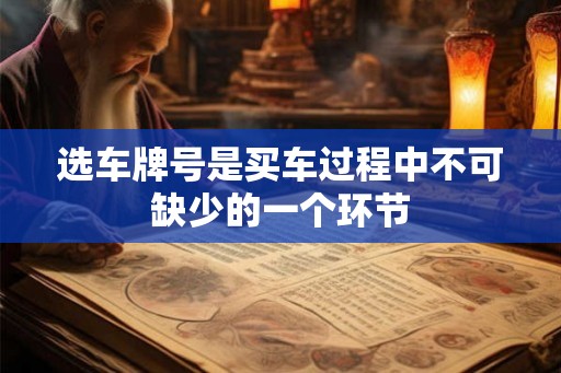选车牌号是买车过程中不可缺少的一个环节 选车牌号是买车过程中不可缺少的一个环节