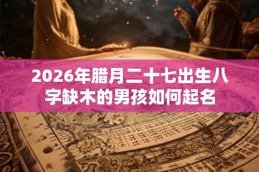 2026年腊月二十七出生八字缺木的男孩如何起名