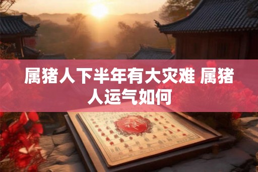 属猪人下半年有大灾难 属猪人运气如何