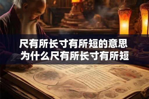 尺有所长寸有所短的意思 为什么尺有所长寸有所短