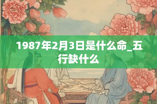1987年2月3日是什么命_五行缺什么