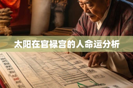 太阳在官禄宫的人命运分析