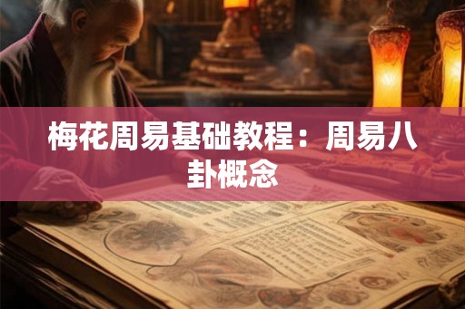 梅花周易基础教程：周易八卦概念