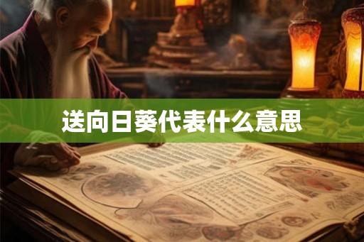 送向日葵代表什么意思