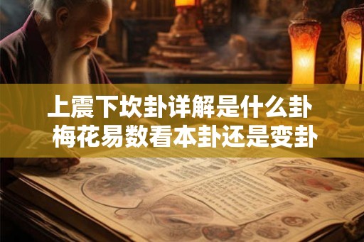 上震下坎卦详解是什么卦  梅花易数看本卦还是变卦