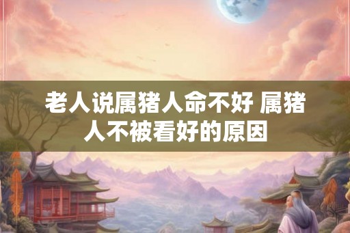 老人说属猪人命不好 属猪人不被看好的原因 老人说属猪人命不好 属猪人不被看好的原因
