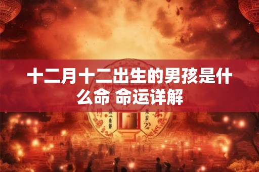 十二月十二出生的男孩是什么命 命运详解