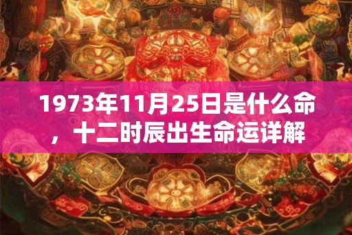 1973年11月25日是什么命，十二时辰出生命运详解
