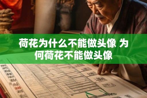 荷花为什么不能做头像 为何荷花不能做头像