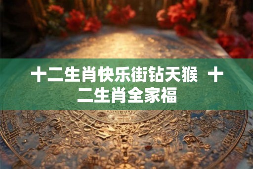 十二生肖快乐街钻天猴  十二生肖全家福