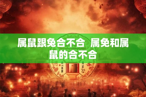 属鼠跟兔合不合  属免和属鼠的合不合