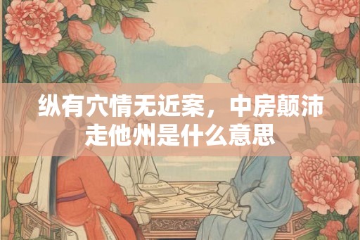 纵有穴情无近案，中房颠沛走他州是什么意思