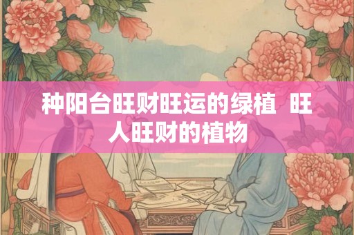 种阳台旺财旺运的绿植  旺人旺财的植物