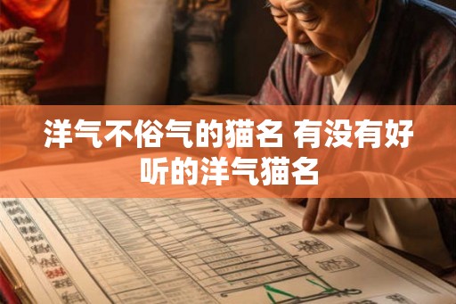 洋气不俗气的猫名 有没有好听的洋气猫名
