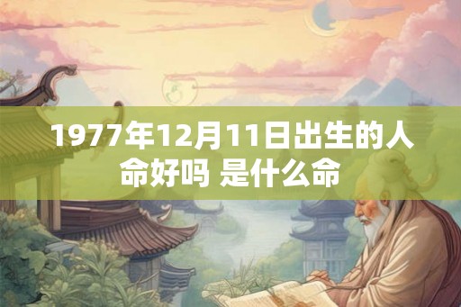 1977年12月11日出生的人命好吗 是什么命