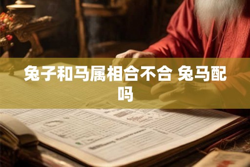 兔子和马属相合不合 兔马配吗