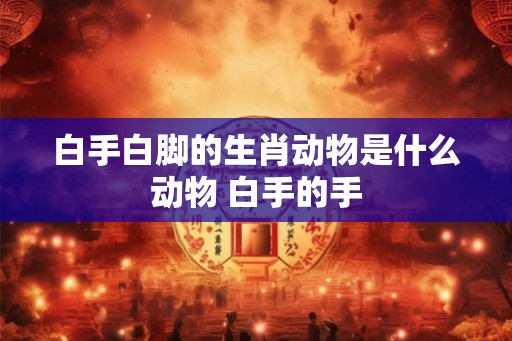 白手白脚的生肖动物是什么动物 白手的手