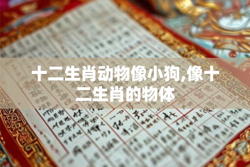十二生肖动物像小狗,像十二生肖的物体