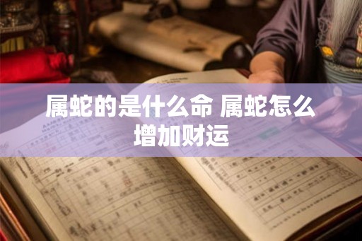 属蛇的是什么命 属蛇怎么增加财运