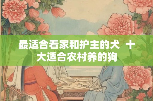 最适合看家和护主的犬  十大适合农村养的狗