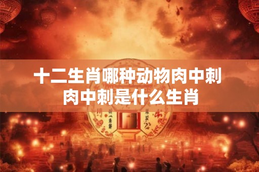 十二生肖哪种动物肉中刺 肉中刺是什么生肖