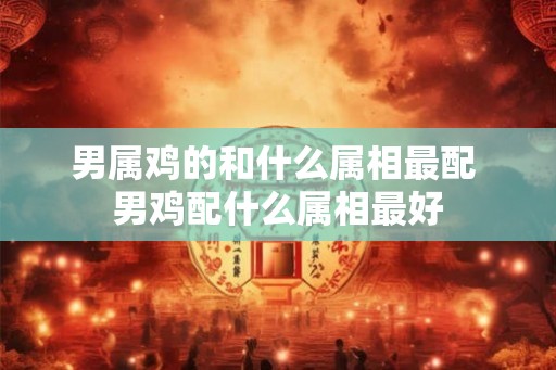 男属鸡的和什么属相最配 男鸡配什么属相最好