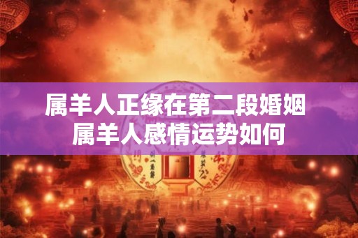 属羊人正缘在第二段婚姻 属羊人感情运势如何