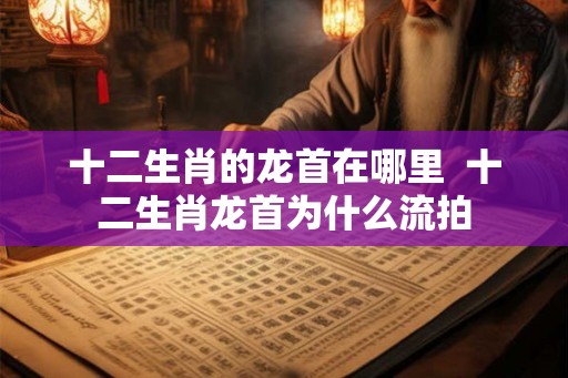 十二生肖的龙首在哪里  十二生肖龙首为什么流拍