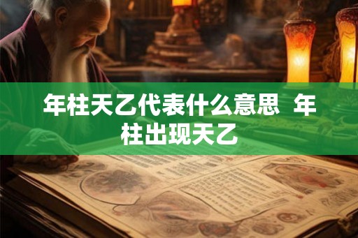 年柱天乙代表什么意思  年柱出现天乙