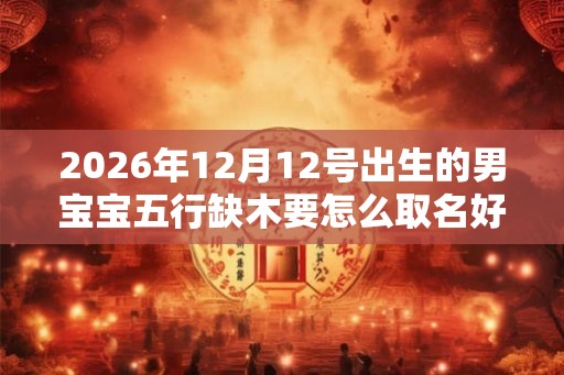 2026年12月12号出生的男宝宝五行缺木要怎么取名好
