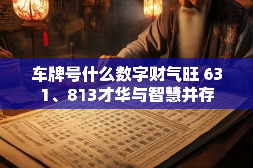 车牌号什么数字财气旺 631、813才华与智慧并存
